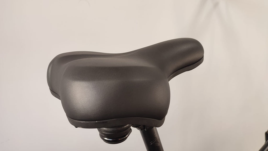 Bicicletta  Elettrica Zero pro 250w 36v Ruote 20" Sport Design