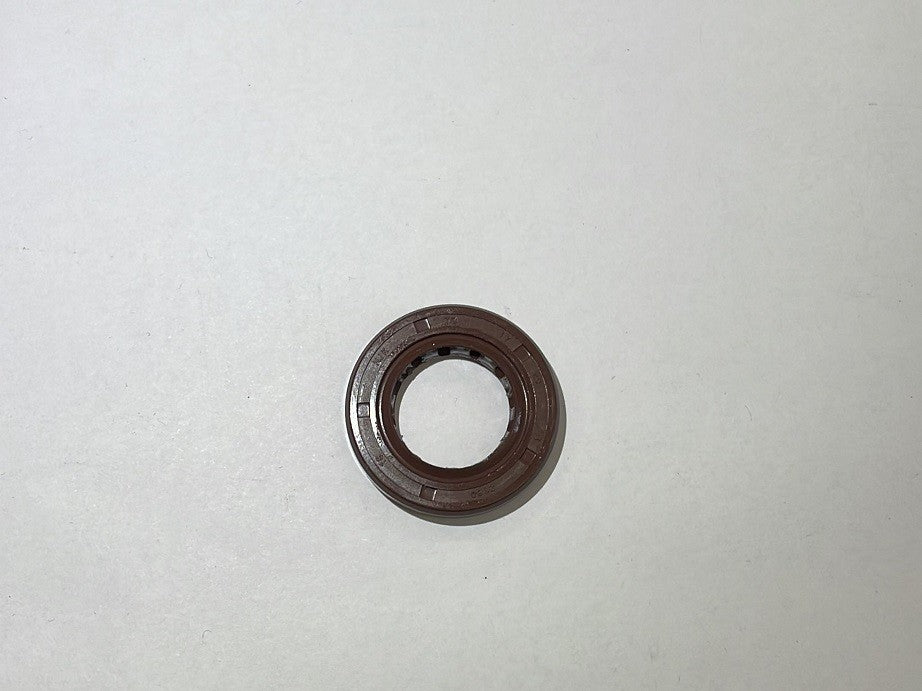 PARAOLIO 17X29X5 PER MOTORE YX170 PIT BIKE KAYO TT170 TT170R