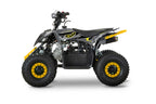 Quad 110cc Pg PRO Ruote 6 + Retro