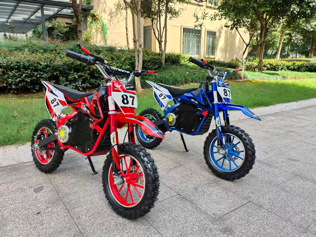 Minicross Project Pro 800w 36V