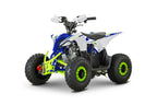 Quad 110cc Pg PRO Ruote 6 + Retro