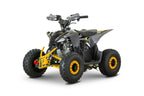 Quad 110cc Pg PRO Ruote 6 + Retro