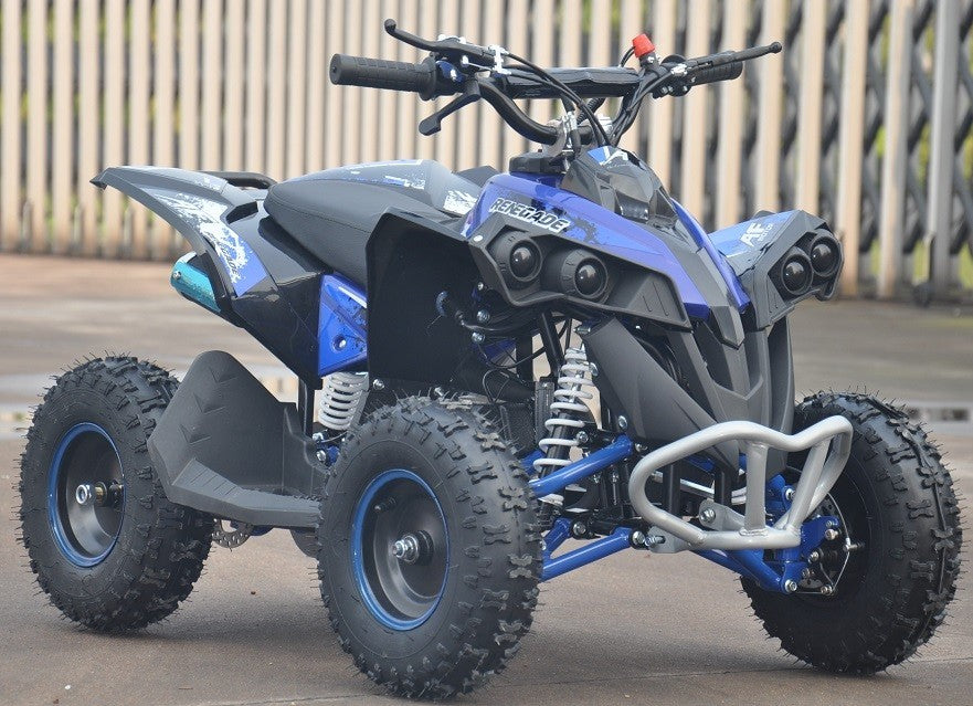 ADESIVI GRAFICHE PER MINIATV MINIQUAD QUAD RENEGADE