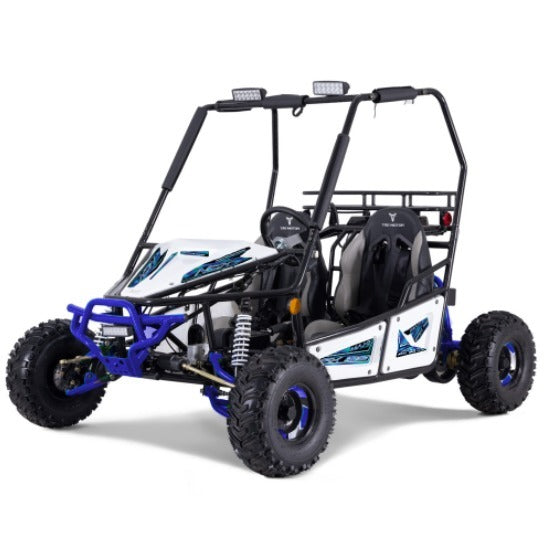 Buggy New Project 125cc