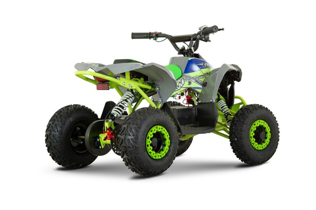 New Mini Quad Lion 1200w 48V