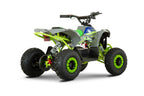 New Mini Quad Lion 1200w 48V