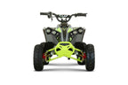 New Mini Quad Lion 1200w 48V