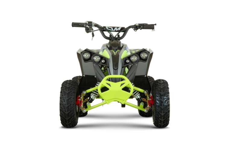 New Mini Quad Lion 1200w 48V