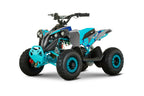 New Mini Quad Lion 1200w 48V