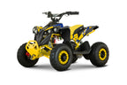 New Mini Quad Lion 1200w 48V
