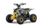 Quad New TIGER 2026 110cc Ruota 6 + Retro