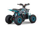 Quad New TIGER 2026 110cc Ruota 6 + Retro