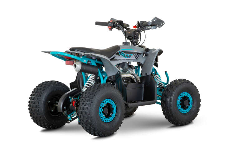 Quad New TIGER 2026 110cc Ruota 6 + Retro