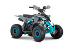 Quad New TIGER 2026 110cc Ruota 6 + Retro