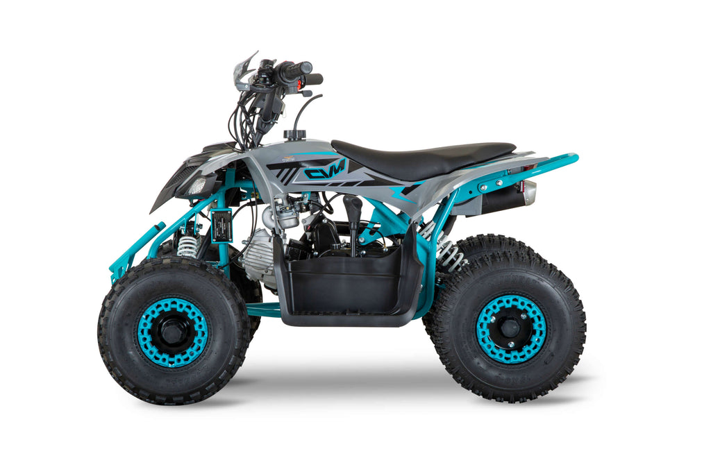 Quad New TIGER 2026 110cc Ruota 6 + Retro