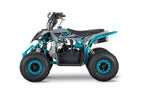 Quad New TIGER 2026 110cc Ruota 6 + Retro