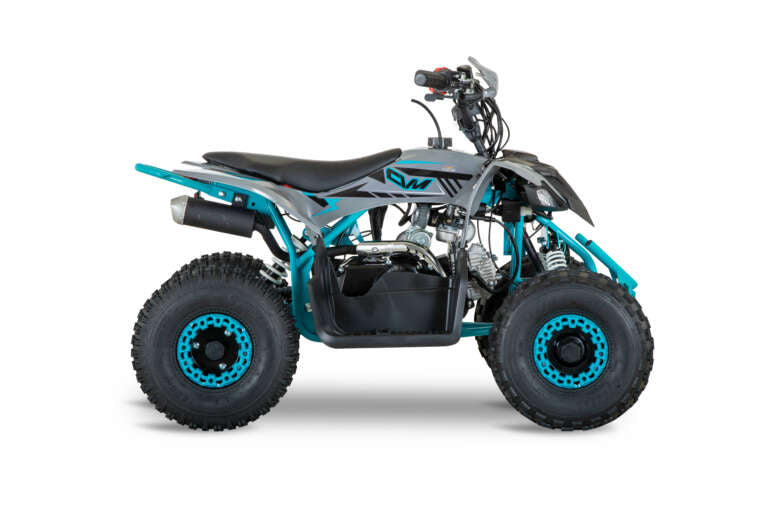 Quad New TIGER 2026 110cc Ruota 6 + Retro