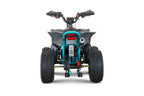 Quad New TIGER 2026 110cc Ruota 6 + Retro