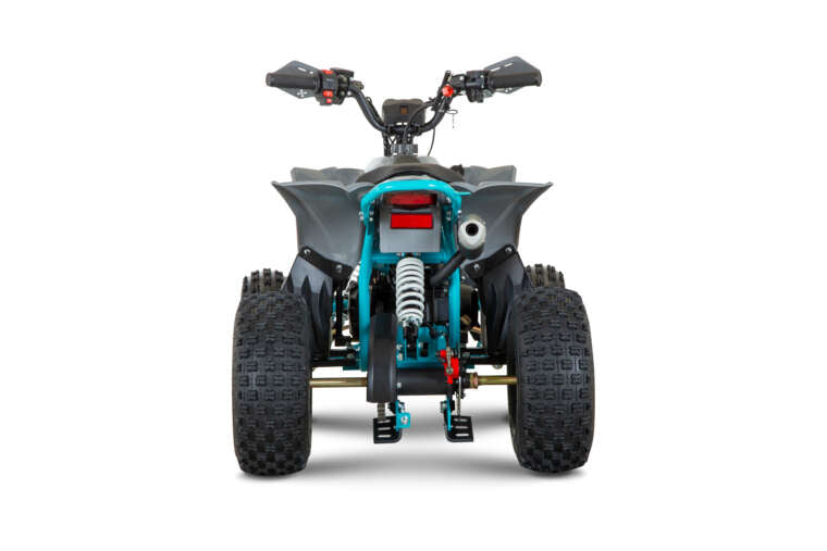 Quad New TIGER 2026 110cc Ruota 6 + Retro
