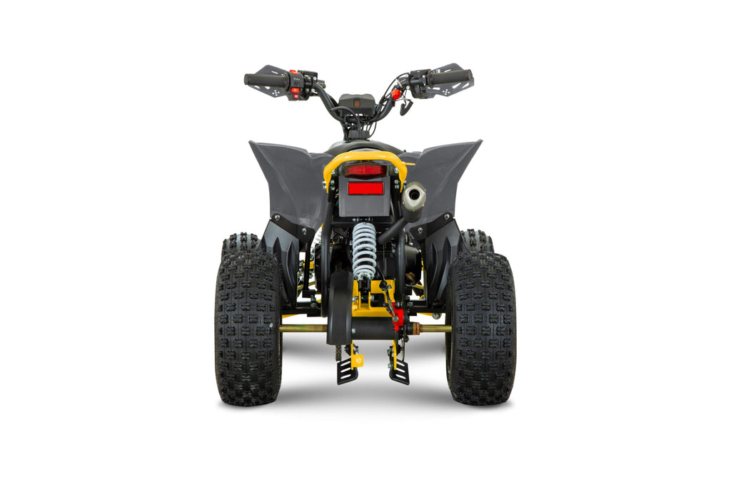 Quad 110cc Pg PRO Ruote 6 + Retro
