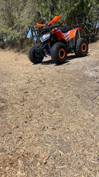 Quad HNT  125CC Ruote 8 -  3 marce