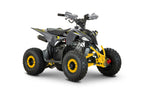 Quad 110cc Pg PRO Ruote 6 + Retro