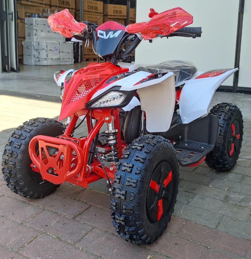 Mini Quad Tigre 50cc Ruote 6