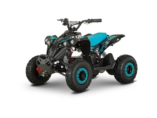 Mini Quad New Lion 1200W 48V