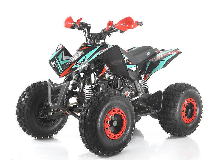 Quad SNP 125cc Ruote 8 BIG