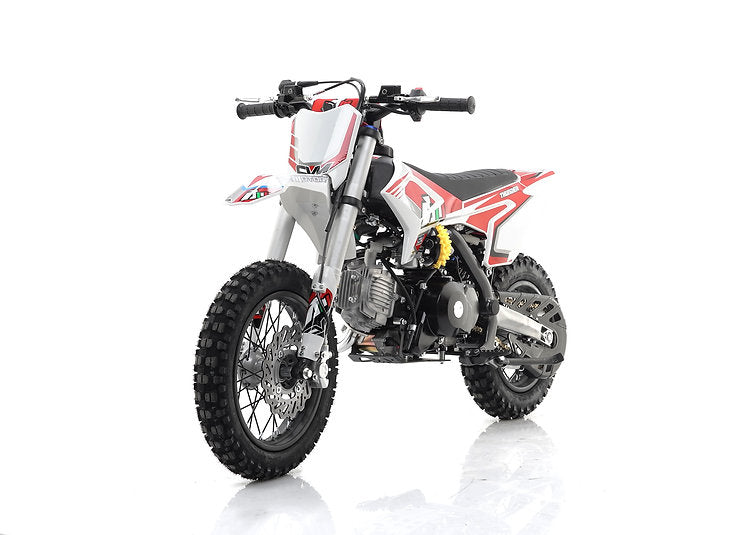 Pit Bike/ Mini Cross Thunder 110cc Ruote 12-10 4 Tempi