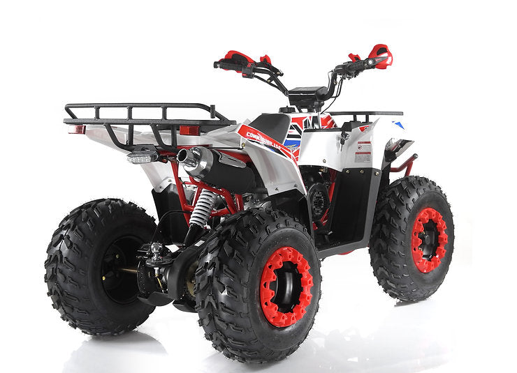 Quad Mega Apollo CMMD Ruote 10 Maxi CVT