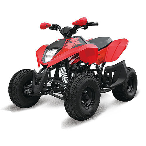Maxi Quad Away 250cc Ruote 8 Racing