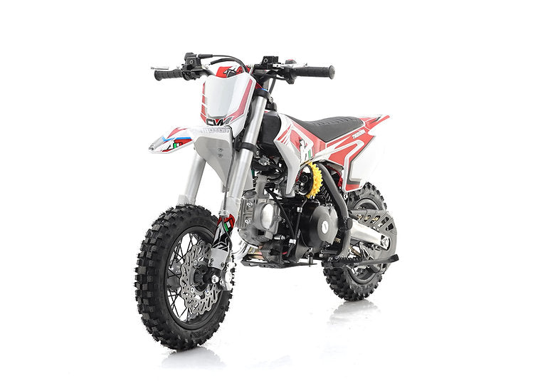 Mini Cross Thunder 70cc Ruote 10/10 Automatica