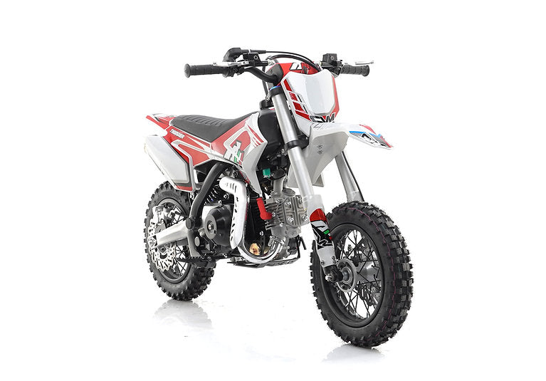 Mini Cross Thunder 70cc Ruote 10/10 Automatica
