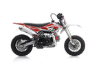 Mini Cross Thunder 70cc Ruote 10/10 Automatica