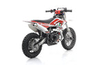 Pit Bike/ Mini Cross Thunder 110cc Ruote 12-10 4 Tempi