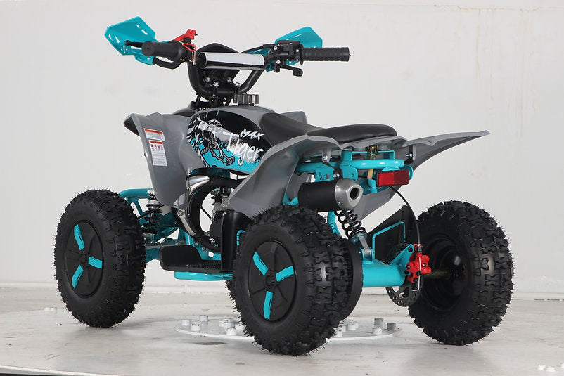 Mini Quad Tigre 50cc Ruote 6
