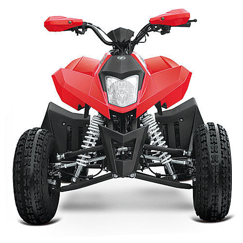 Maxi Quad Away 250cc Ruote 8 Racing