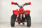 Quad BMB PRO 110cc Ruote 6 big Con Retromarcia