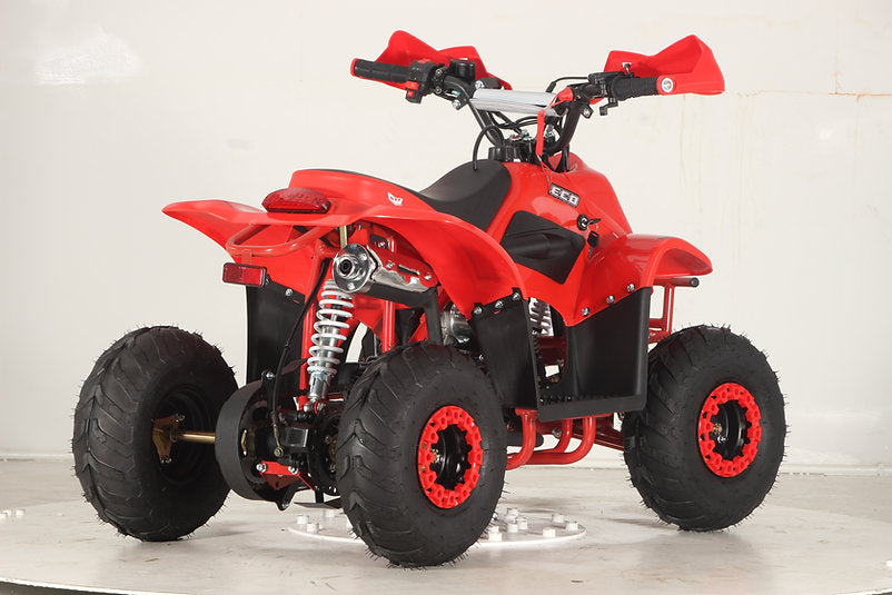 Quad BMB PRO 110cc Ruote 6 big Con Retromarcia
