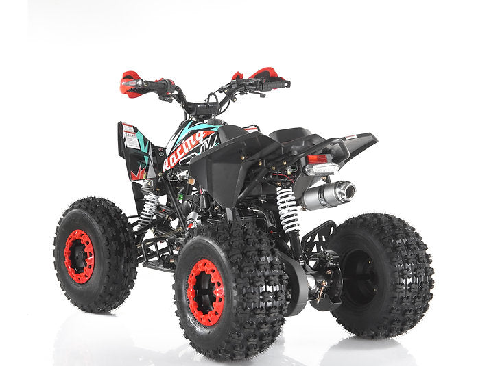 Quad SNP 125cc Ruote 8 BIG
