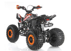 Quad SNP 125cc Ruote 8 BIG
