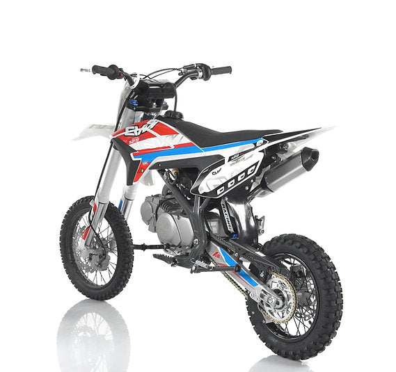 Pit Bike Thunder 125cc Ruote 14-12 4 Tempi