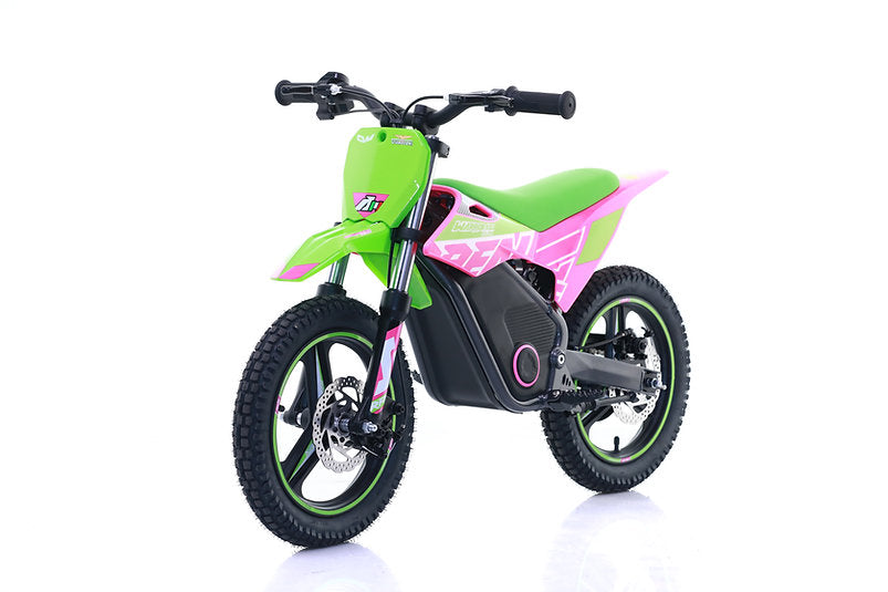 Mini Cross Warrior Sx-E350