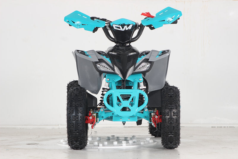 Mini Quad Tigre 50cc Ruote 6