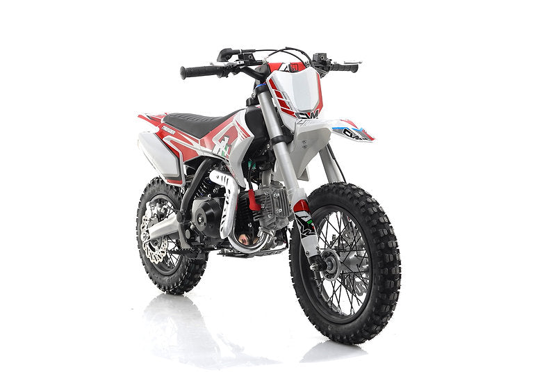Pit Bike/ Mini Cross Thunder 110cc Ruote 12-10 4 Tempi