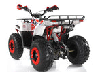 Quad Mega Apollo CMMD Ruote 10 Maxi CVT