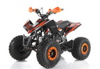 Quad SNP 125cc Ruote 8 BIG