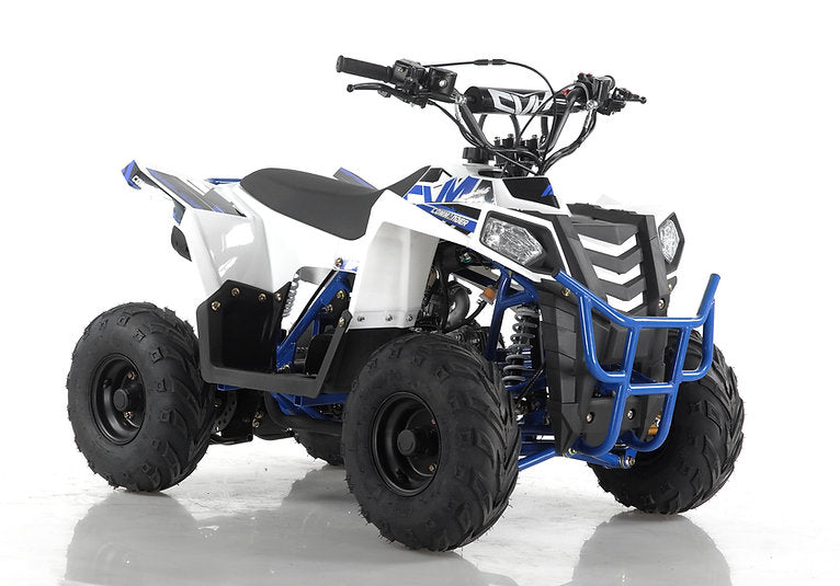 Quad 110cc Commander ATV Ruota 6 Maxi