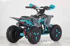 Mini Quad Tigre 50cc Ruote 6